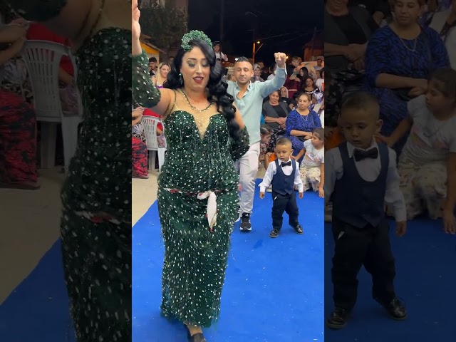 owl-carousel-video-image