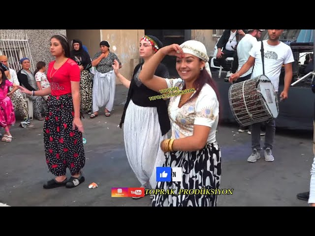 owl-carousel-video-image